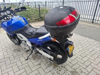 Suzuki DL 650 v-strom picture 4