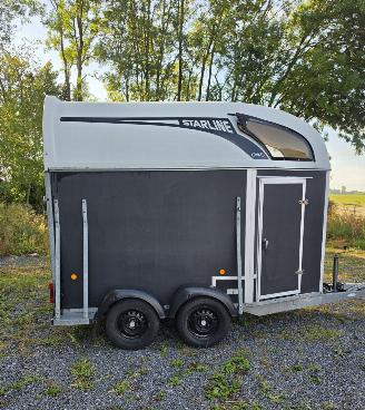 Sloopauto Atec Focus STARLINE 2013/1
