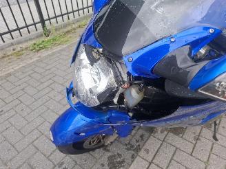 Honda CBR 1100 black bird picture 4