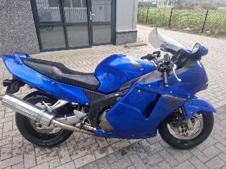 Honda CBR 1100 black bird picture 2