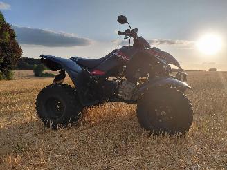 Kymco  300 maxxer picture 3