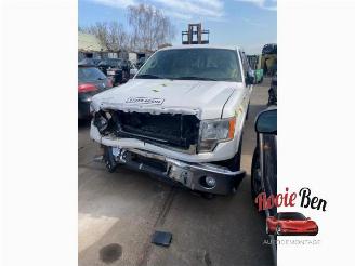 Vrakbiler auto Ford USA F-150 F-150 Standard Cab, Pick-up, 2014 5.0 Extended Cab 2013/4