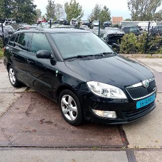 Schadeauto Skoda Fabia  2011/5