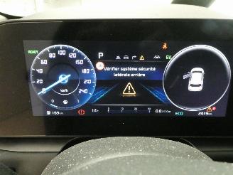 Kia Niro  picture 15