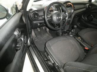 Mini One 1.5D  D picture 12