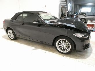 BMW 2-serie 2.0 D picture 9