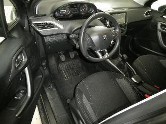 Peugeot 2008 ACTIVE picture 16