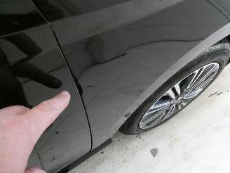 Seat Ibiza XCELLENCE picture 8