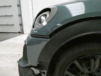 Mini Cooper COOPER COUNTRYM picture 7