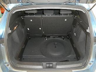 Renault Symbioz EVOLUTION picture 18