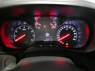 Opel Combo E CARGO picture 16