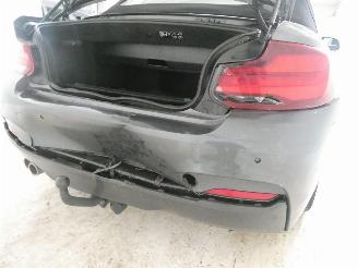 BMW 2-serie I picture 10