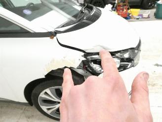 Renault Scenic IV INTENS picture 21