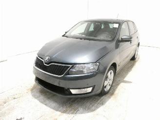 Skoda Rapid AMBITION picture 3