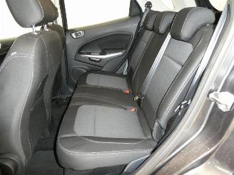 Ford EcoSport COOL&CONNECT picture 19