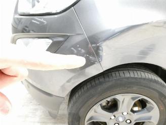 Ford EcoSport COOL&CONNECT picture 4