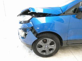 Ford EcoSport 1.0 picture 7