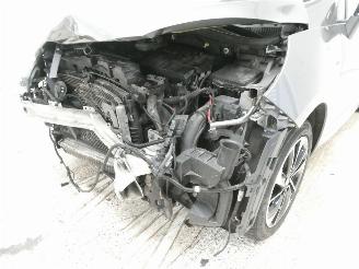 Renault Mégane SCENIC III BOSE EDIT picture 5