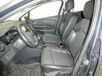 Renault Clio MOTORSCHADE picture 13