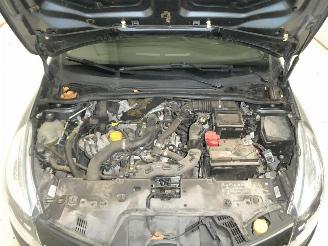 Renault Clio MOTORSCHADE picture 18