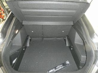 Renault Arkana  picture 23