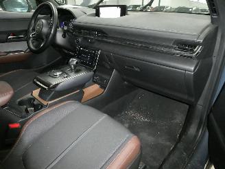 Mazda MX-30 0 picture 12