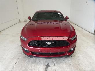 Ford Mustang  picture 2