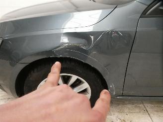 Skoda Octavia AMBITION picture 8