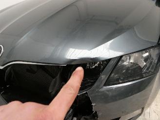 Skoda Octavia AMBITION picture 5