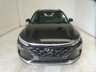 Hyundai Nexo  picture 2