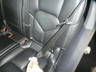 Porsche Cayenne E-HYBRID picture 18