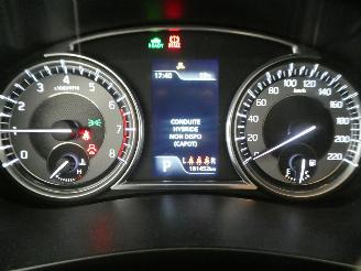 Suzuki SX4 S-CROSS picture 14