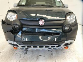 Fiat Panda CITY CROSS picture 4