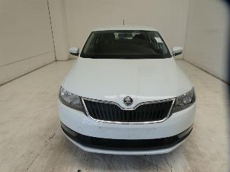 Skoda Rapid ACTIVE picture 2