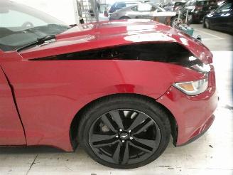 Ford Mustang  picture 15