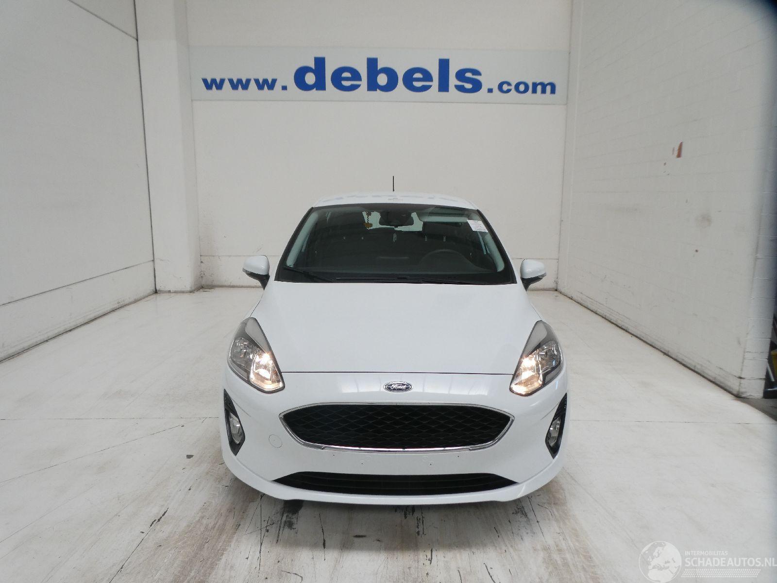 Ford Fiesta 1.1 5 DEURS