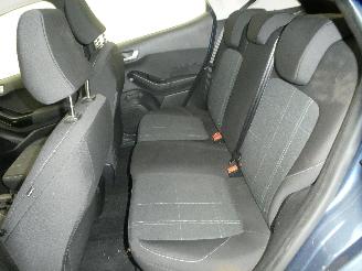 Ford Fiesta BUSINESS picture 15
