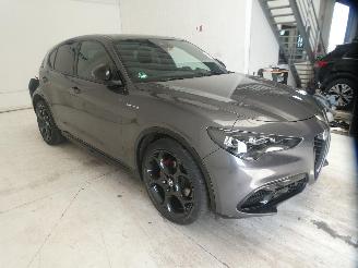 Alfa Romeo Stelvio 2.2D picture 10
