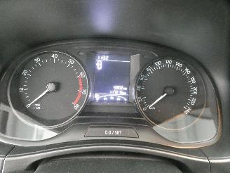 Skoda Fabia ACTIVE picture 14