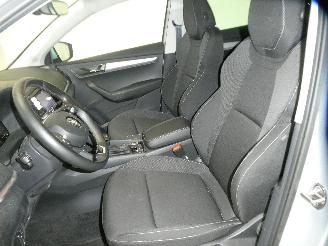 Skoda Karoq AMBITION picture 18