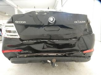 Skoda Octavia AMBITION picture 8