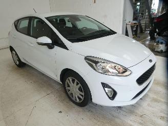 Ford Fiesta 1.1 5 DEURS picture 7