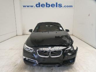 Voiture accidenté BMW 2-serie CABRIO 2018/6