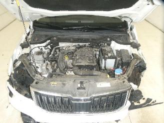 Skoda Karoq  picture 33