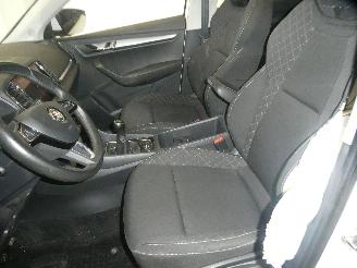 Skoda Karoq  picture 22
