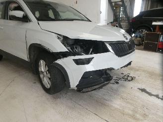 Skoda Karoq  picture 14