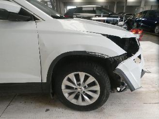 Skoda Karoq  picture 15