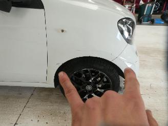 Smart Forfour  picture 18