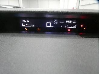 Citroën C3 IV YOU picture 15