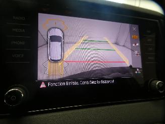 Skoda Karoq SELECTION picture 22